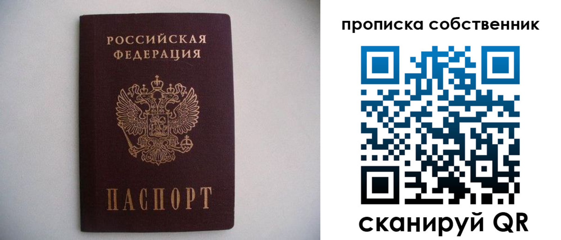 прописка поиск в Златоусте